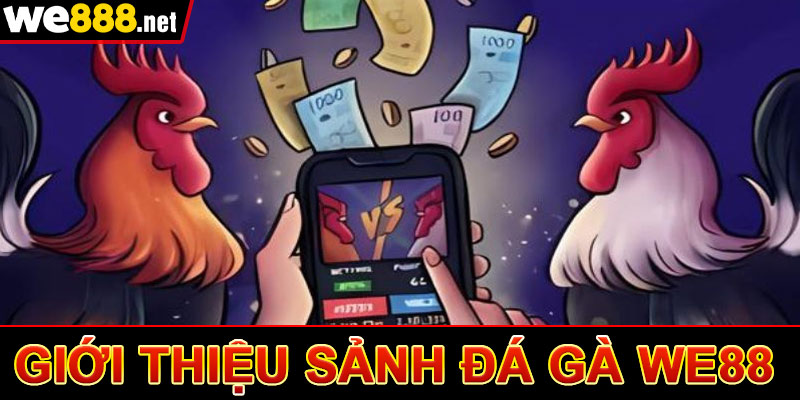 Đá Gà We88 - Trang Cá Độ Đá Gà Thomo Campuchia 2025