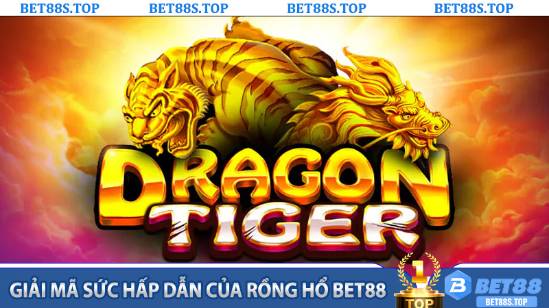 Giải Mã Sức Hấp Dẫn Của Rồng Hổ Bet88