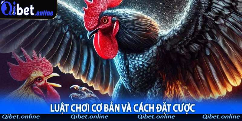 Luật chơi cơ bản và cách đặt cược