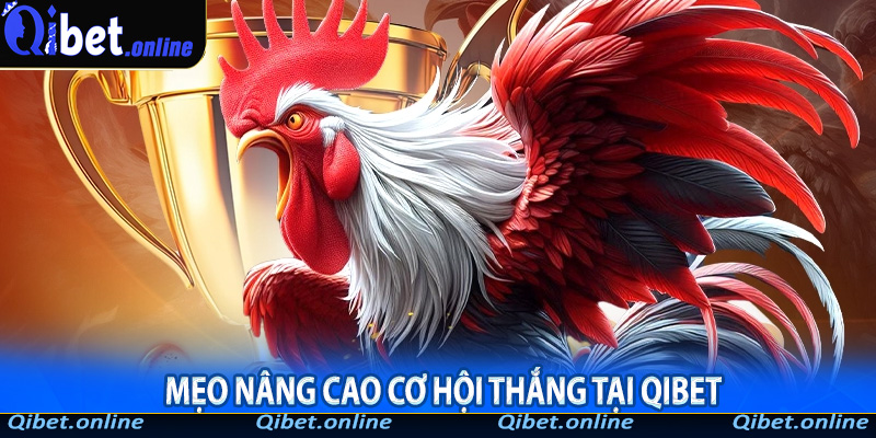 Mẹo nâng cao cơ hội thắng tại Qibet